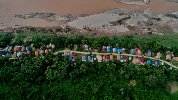 Forest and Mekong river