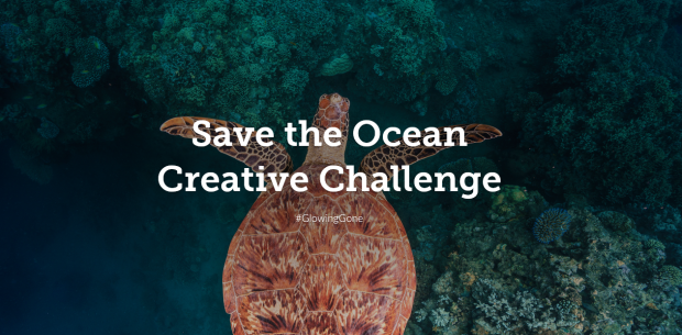 ocean video challenge