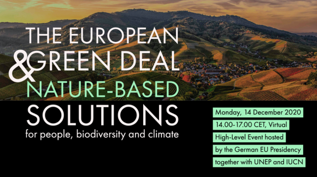 The European Green Deal and Nature-based Solutions for people ...