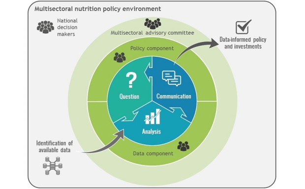 NIPN operational cycle