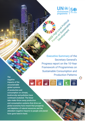 Progress report on the 10-Year Framework of Programmes on Sustainable ...