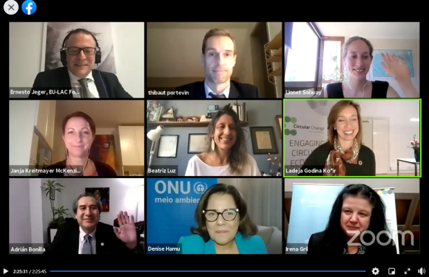 Screenshot of webinar Circular Economy in the COVID-19 Era: Challenges and Opportunities Screenshot of webinar Circular Economy in the COVID-19 Era: Challenges and Opportunities