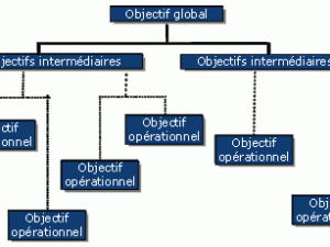 Diagramme des objectifs et diagramme des effets | Capacity4dev