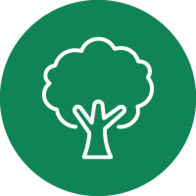 Environment and green economy photo