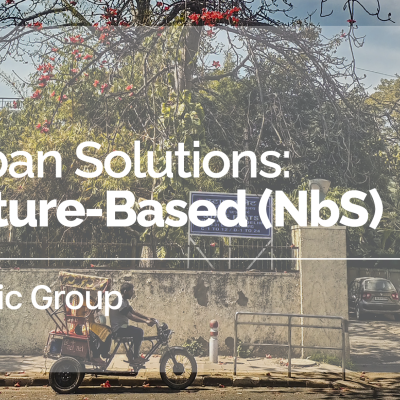 Nature-based Solutions NbS