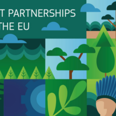 Forest partnerships with the EU