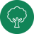 Environment and green economy photo