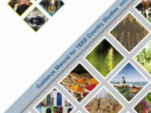 The TEEB Guidance Manual