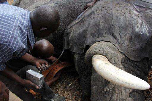 AFP/AFP - Photo de Jean Liou