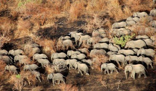 Photo Par Michael Lorentz AFP