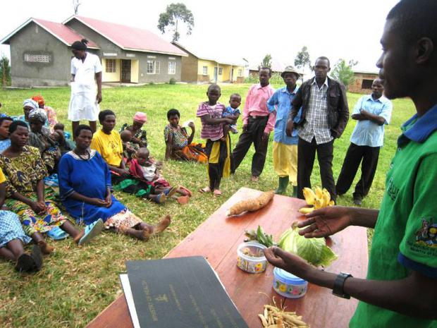 UNICEF Uganda 2014, Crittle