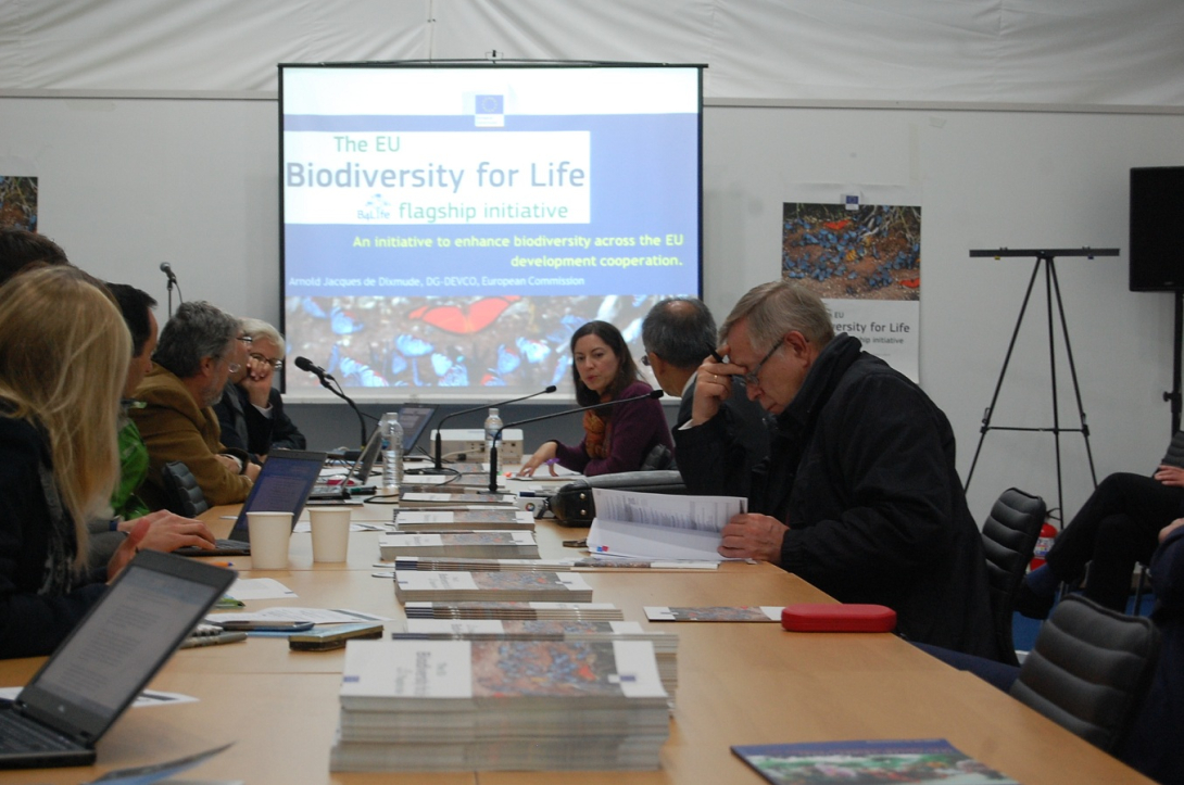 During the side-event