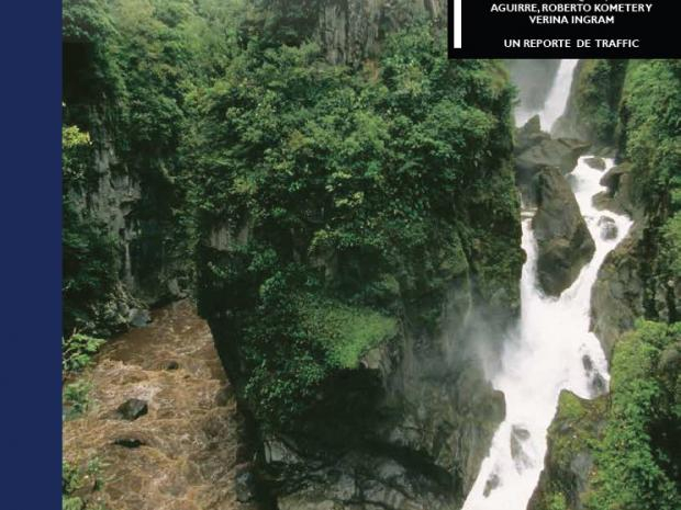 haga clic para ampliar