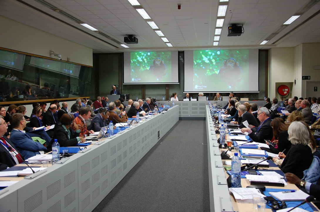 Over 170 people attended the meeting