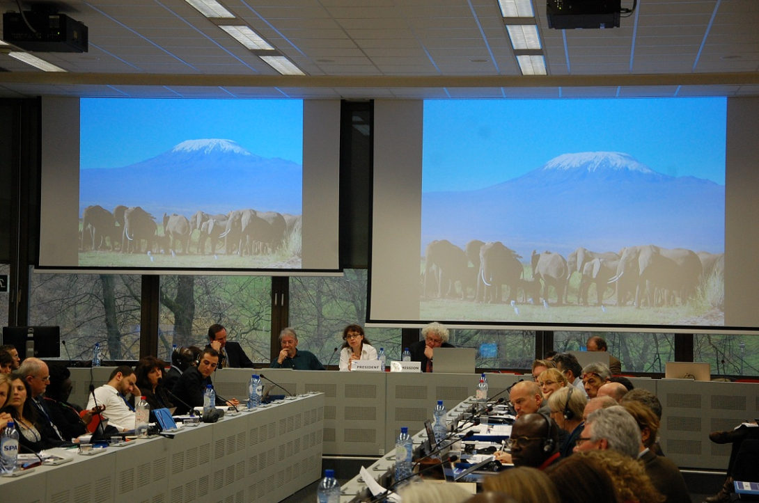 Ice on the Kilimandjaro, elephants in the wild - for how long yet such emblematic picture of Africa ?