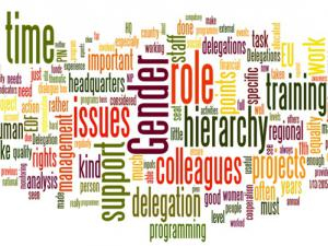 Wordcloud of most frequently used words from Gender Focal Point Survey comments