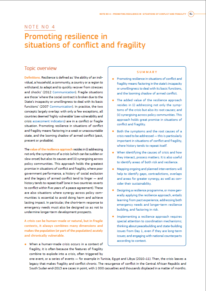 No 4 - Promoting Resilience in Situations of Conflict and Fragility