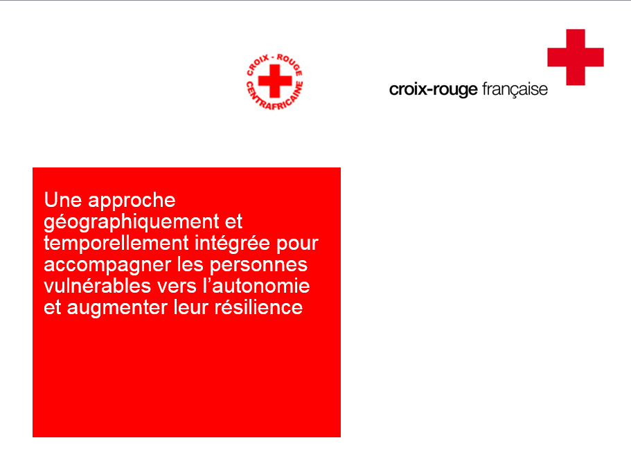 Situation des réfugiés de la République centrafricaine (RCA) - Réponse Régionale et Défis