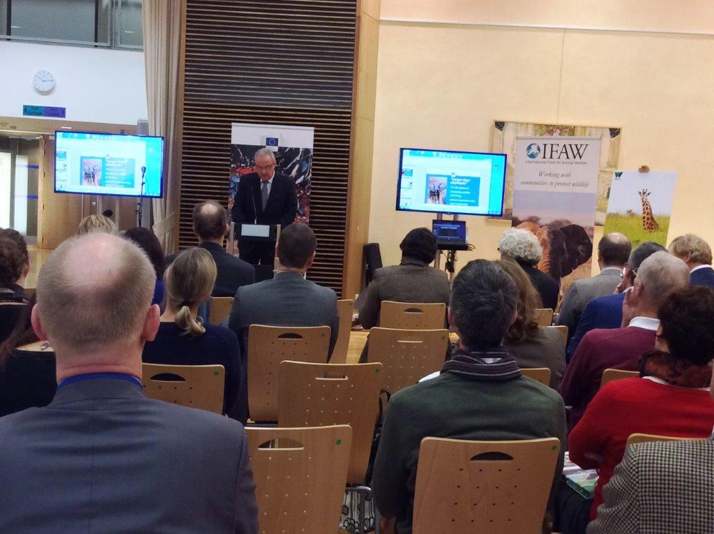 Commissioner Neven Mimica introducing the ceremony