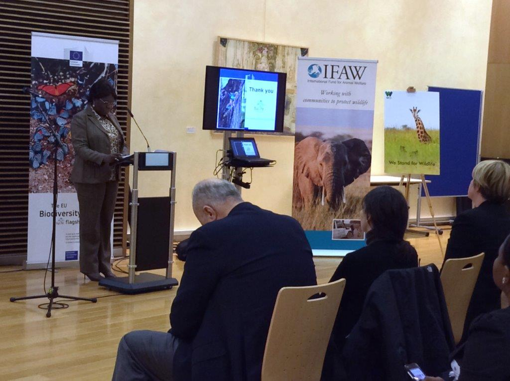 Ambassador of Gabon presenting Gabon