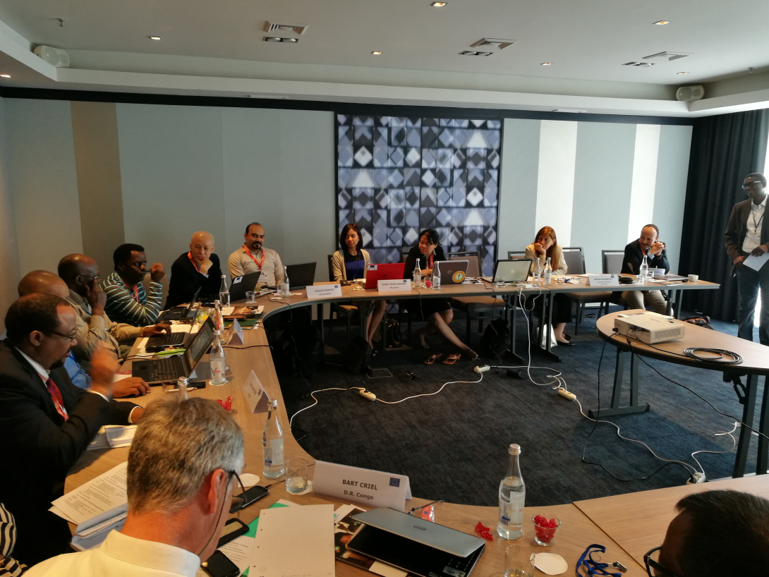 Working parallel session between SPHIP delegates and European Union