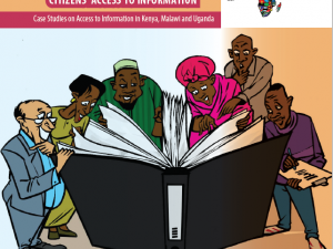 AFIC Citizen Access to Info 2016 report