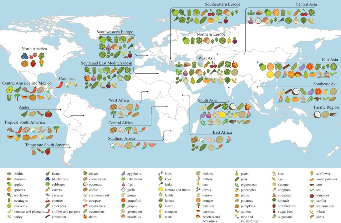 Primary regions of diversity of major agricultural crops worldwide.