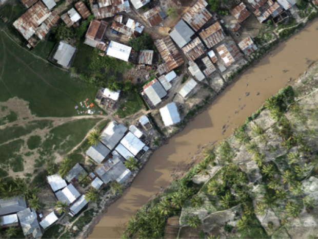 Extracted orthomosaic