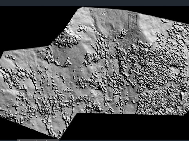 Digital Surface Model of the same area.