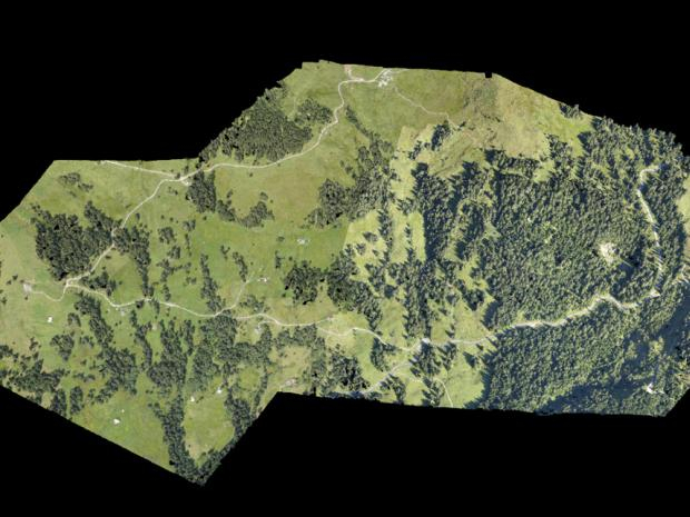 Orthomosaic of the hypothetical camp site processed in Pix4D