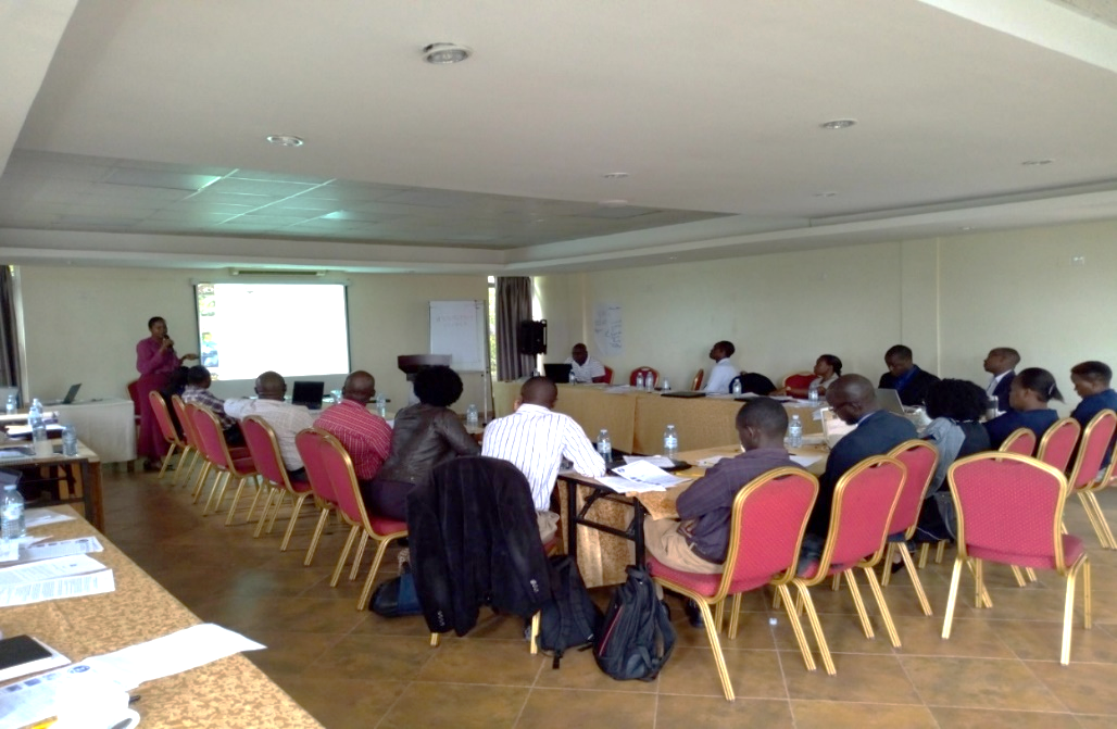 Ms Sarah Nahalamba presenting the UHC Policy paper developed by NPA &amp; SPEED.