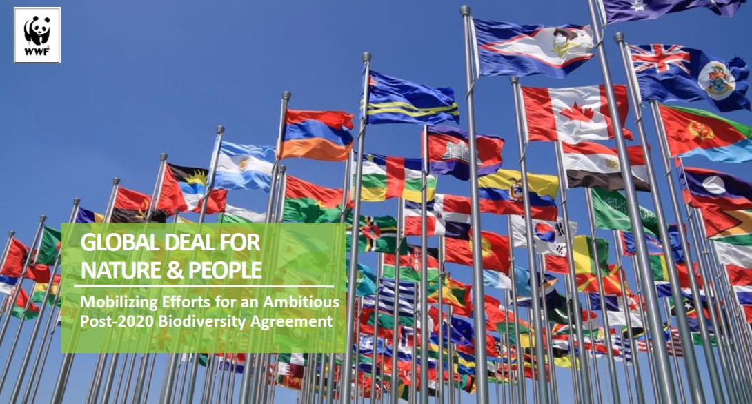 DEVCO Environment Week 2018