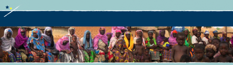 The European Development Practitioner