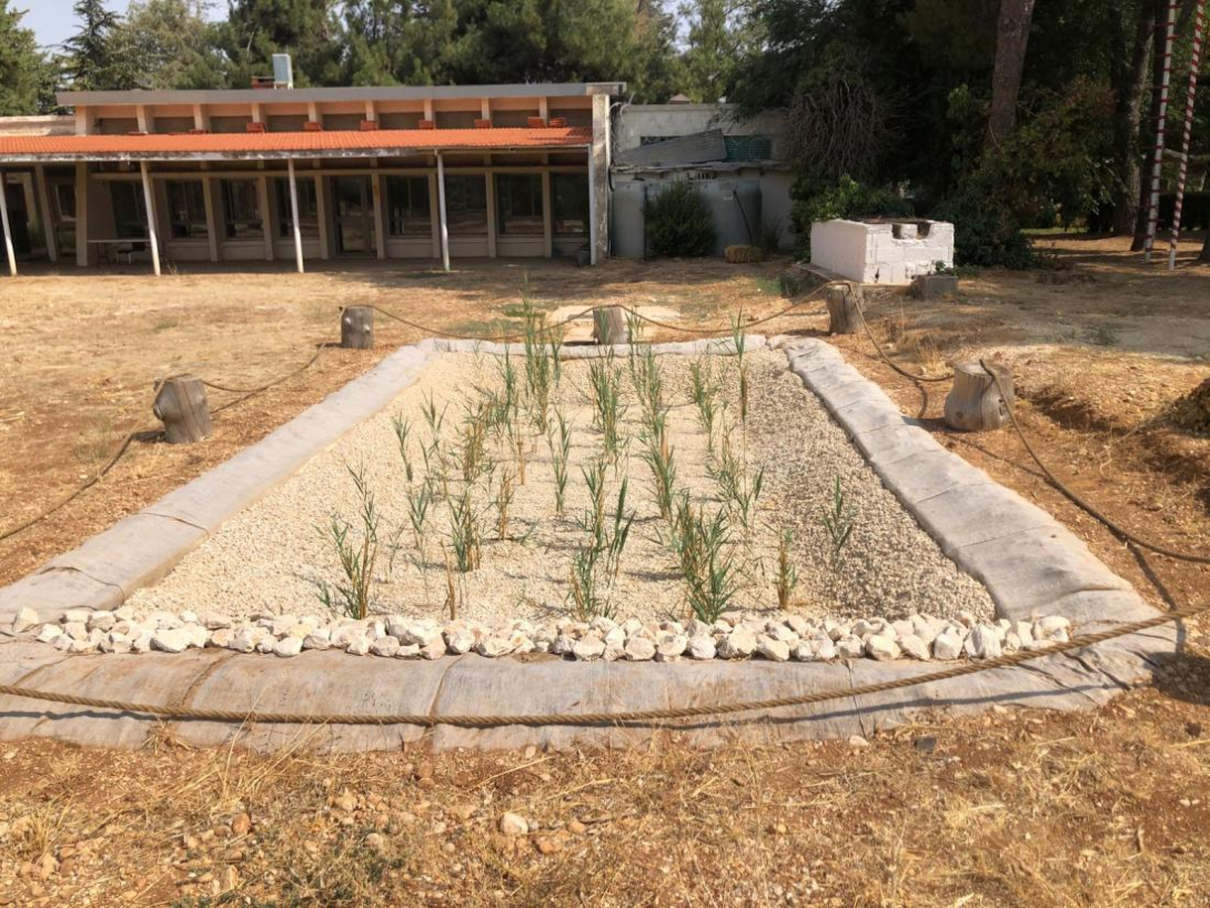 Wetlands built in Bekaa Lebanon for treating greywater © NAWAMED project
