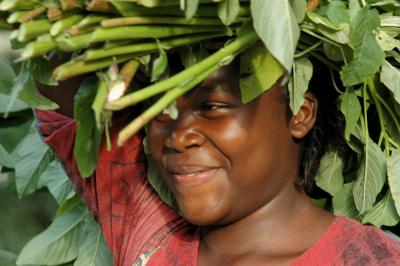 Producer in Cameroon