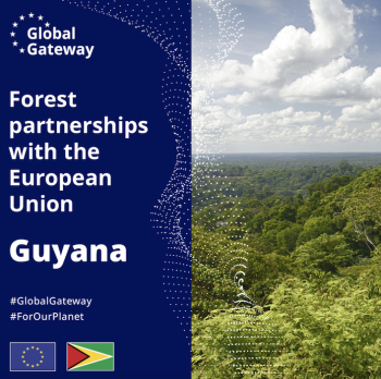 EU-GUYANA