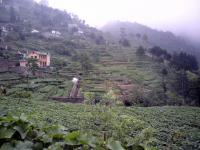 Terracing in Vietnam