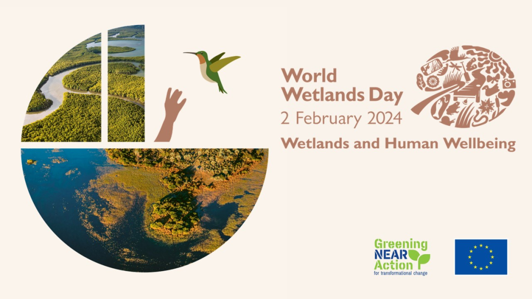 Zorld Zetlqnds Dqy 2024