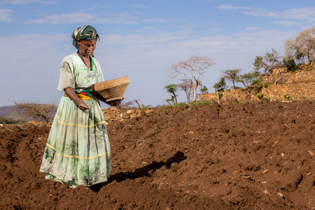 A farmer in Ethiopia (GCCA+/gonzaloguajardo.com)
