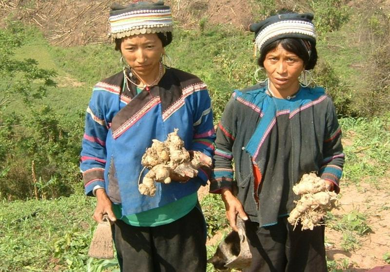 Women Farmers in Laos