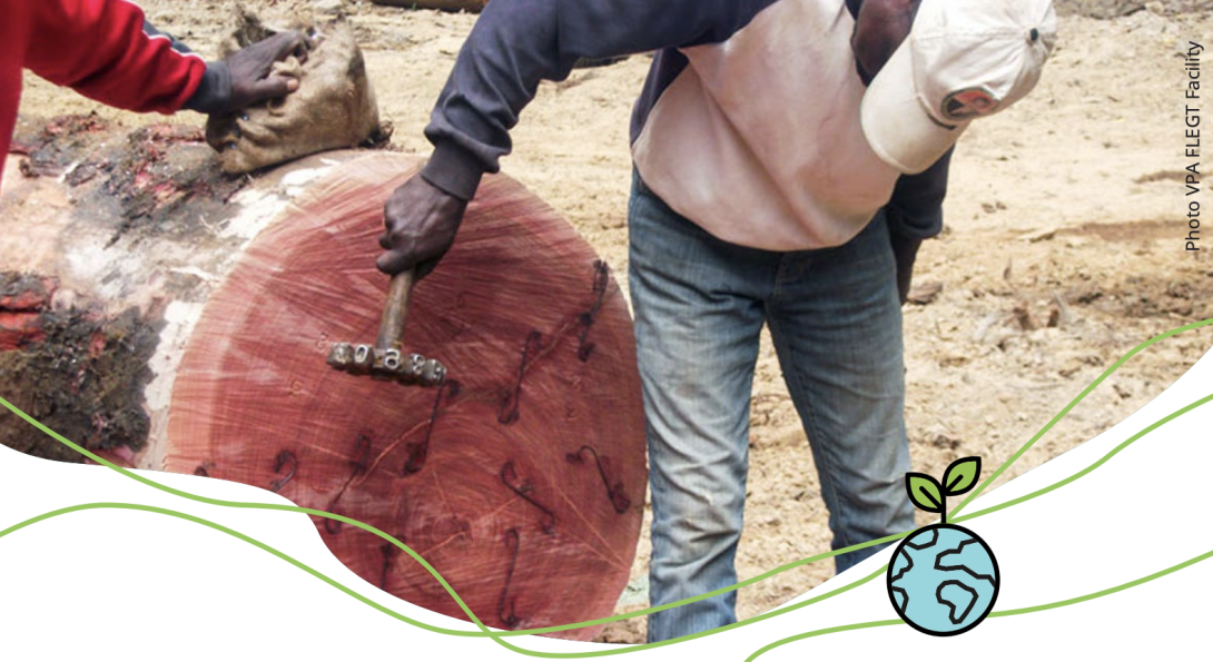 Alfred Nkodia FLEGT VPA, Republic of the Congo