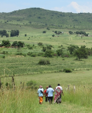 Landholding data collection