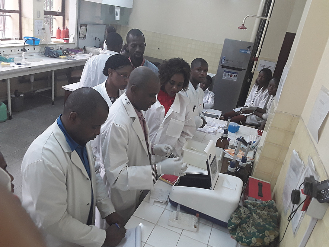 Les participants font des exercices dans le laboratoire
