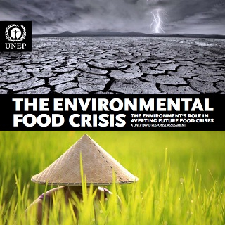 environmental_food_crisis_320.jpg