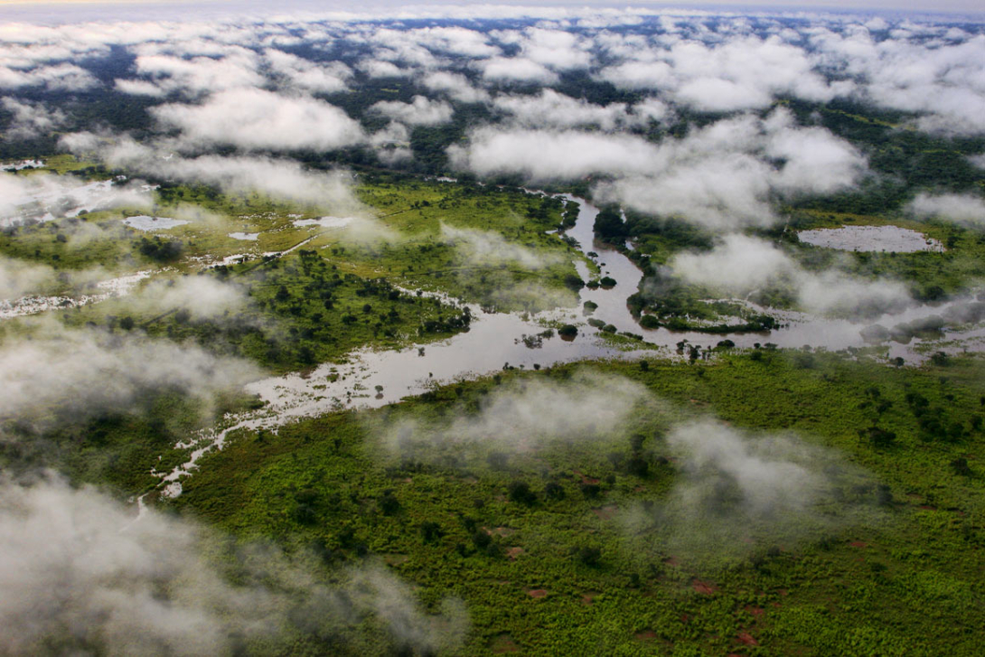 Aerial view of the Garamba National Park, the Democratic Republic of the Congo