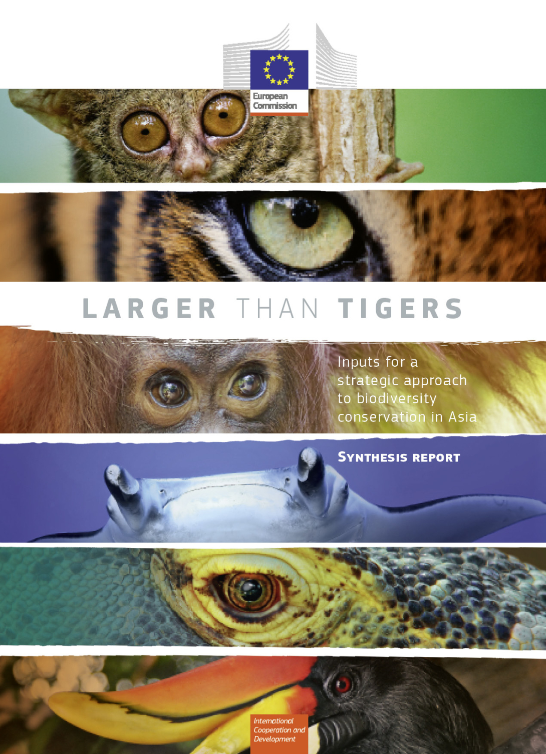 Larger than Tigers - Synthesis, cover image