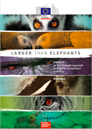 Larger than Elephants Synthesis cover image (November 2015)