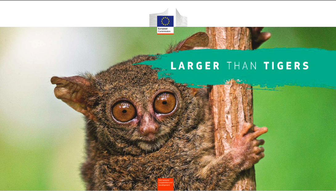 Larger than Tigers presentation cover slide showing a tarsier