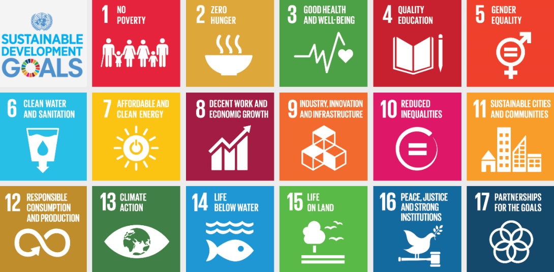 Sustainable Development Goals (SDGs)