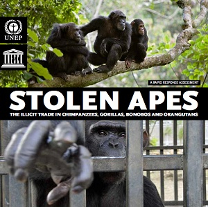 stolen_apes.jpg